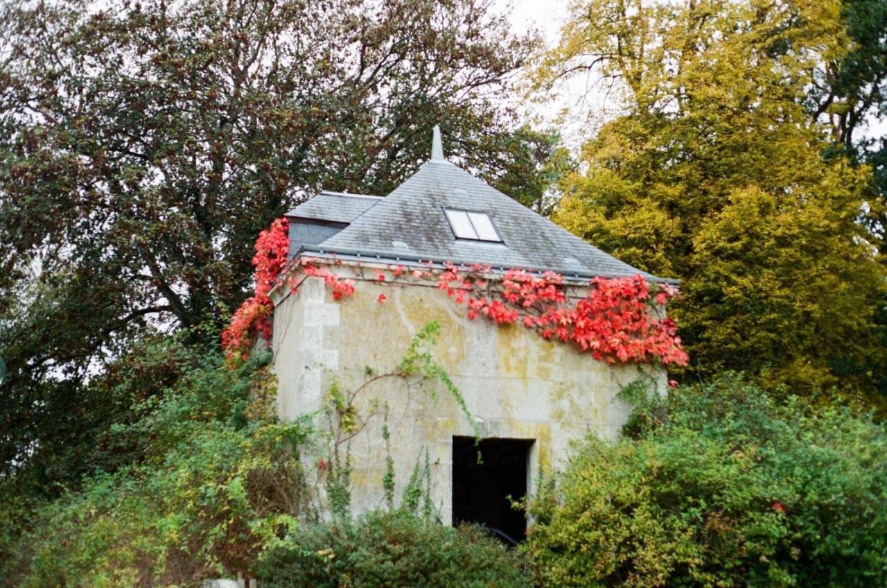 Chateau De La Huberdiere Nazelles-Negron Kültér fotó