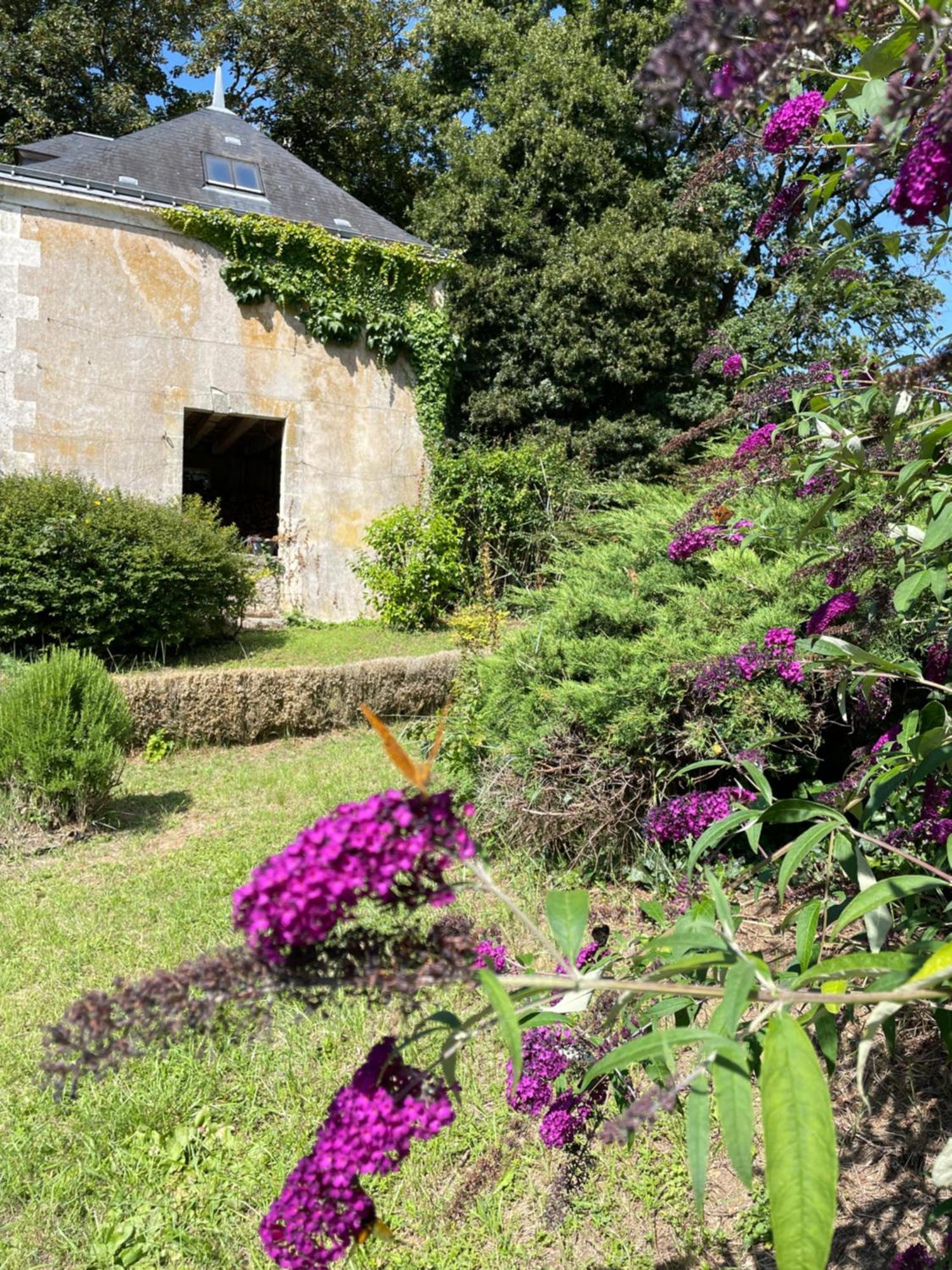 Chateau De La Huberdiere Nazelles-Negron Kültér fotó