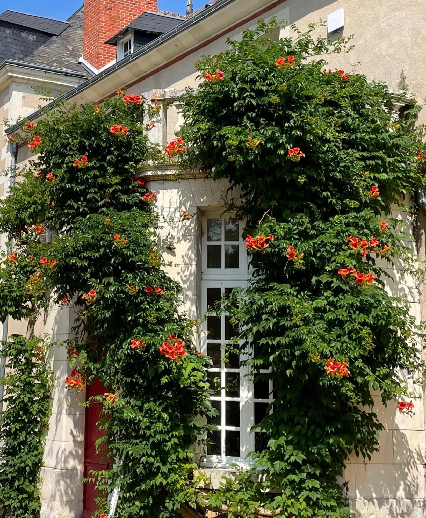 Chateau De La Huberdiere Nazelles-Negron Kültér fotó
